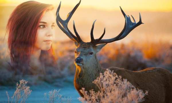 Animal Photo Frames स्क्रीनशॉट 4