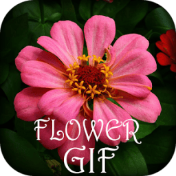 Flower GIF Collection icon