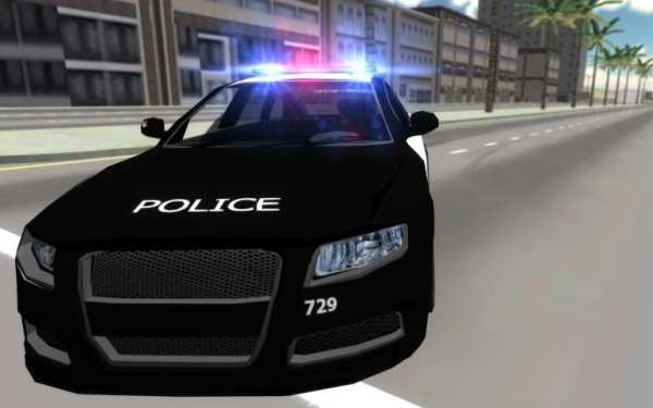 Police Car Drift 3D screenshot 8