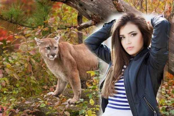 Wild Animal Photo Backgrounds screenshot 7