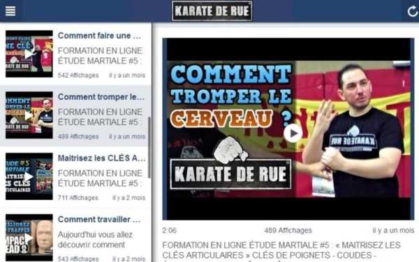 Karaté de Rue screenshot 1