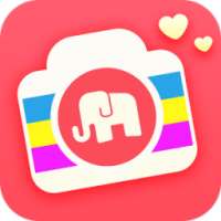 Elephant Album иконка