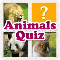 Animals Quiz & Infos