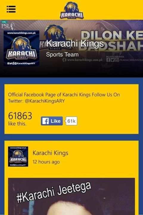 KARACHI KINGS скриншот 1