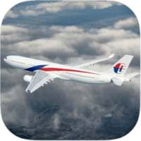 3D Airplane Flight Sim