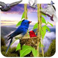 Birds Live Wallpaper 3D