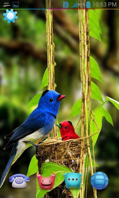 Birds Live Wallpaper 3D स्क्रीनशॉट 7