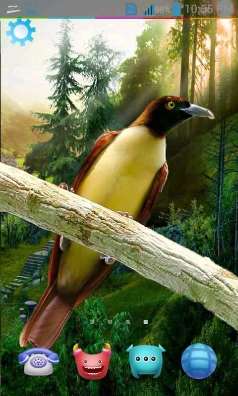 Birds Live Wallpaper 3D स्क्रीनशॉट 6