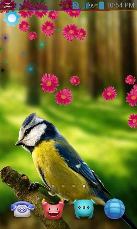 Birds Live Wallpaper 3D स्क्रीनशॉट 3