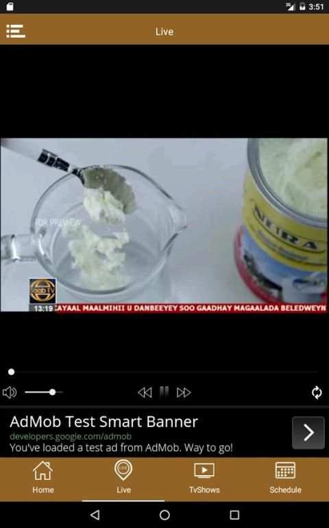 SAAB TV screenshot 4