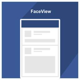 FaceView Lite 3.3