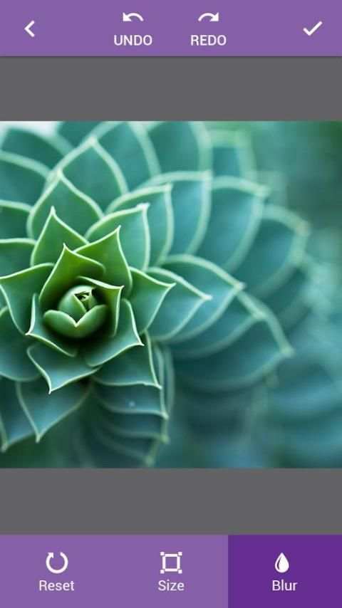 DSLR Camera Effect screenshot 2