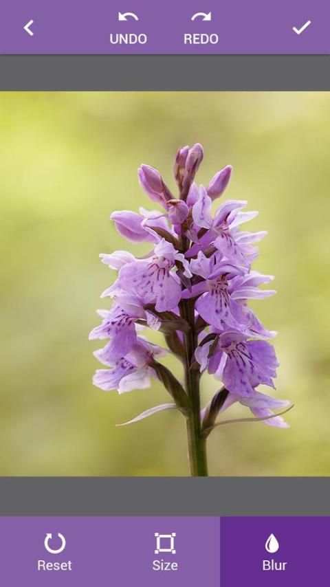 DSLR Camera Effect screenshot 3