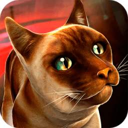 Oh My Cat! - Subway Race 1.6.0