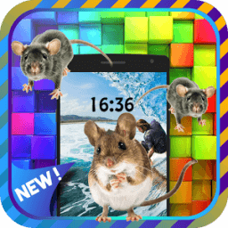 Live Mouse In Phone - Prank आइकन