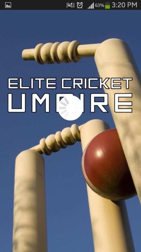 Elite Cricket Umpire screenshot 13