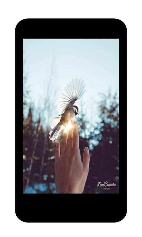 Instagram Downloader Image and Video screenshot 1