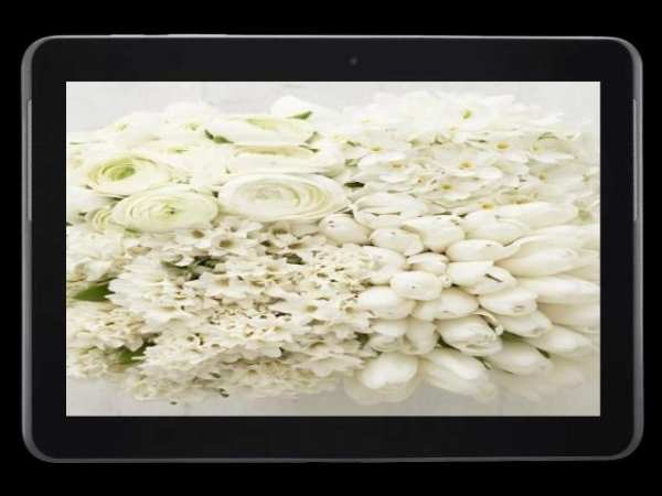 موسوعة صور ورود screenshot 2