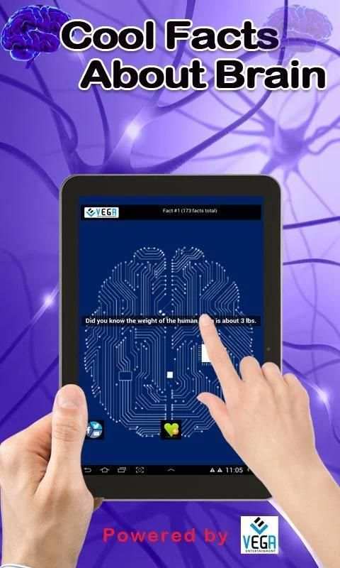 Cool Facts about Brain screenshot 4