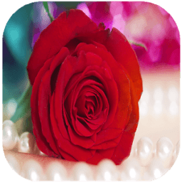 موسوعة صور ورود icon