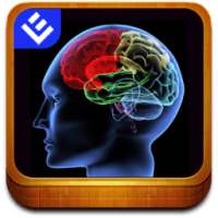 Cool Facts about Brain