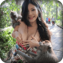 ikon Best Videos for WhatsApp