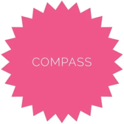 Compass أيقونة