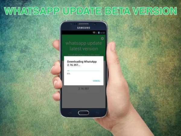 update WhatsApp beta version screenshot 4