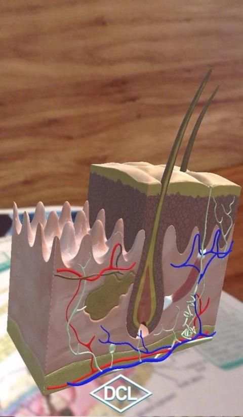 DCL 3D Biologia 1 screenshot 1