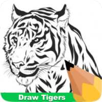 How To Draw Tigers