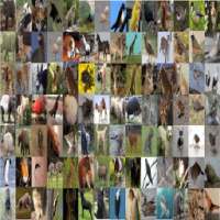 Hayvan Sesleri on 9Apps