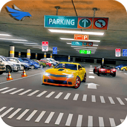 Crazy Car Parking Simulation icon