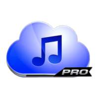 Music-Paradise+Download Pro