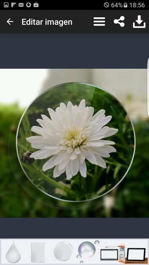 PIP camara editor de fotos скриншот 11