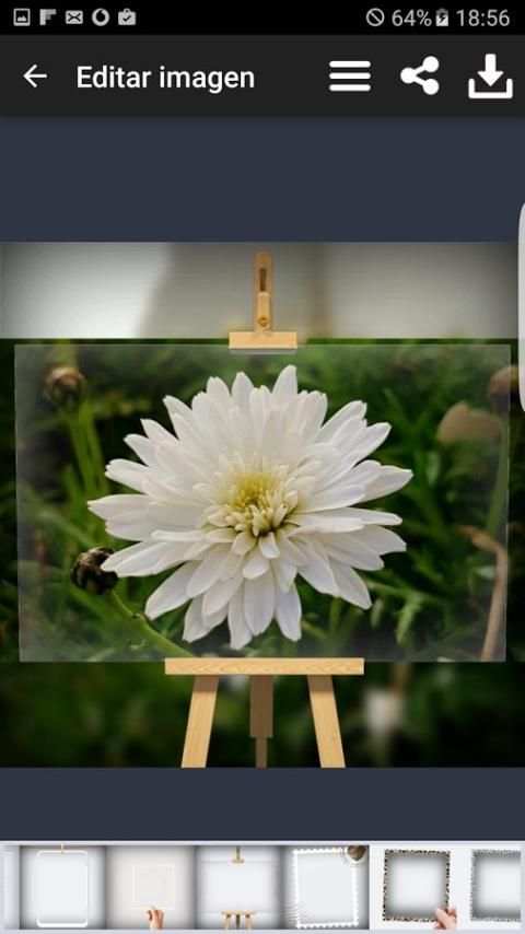 PIP camara editor de fotos скриншот 4