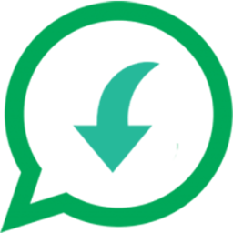 Story Saver pro for Whatsapp आइकन