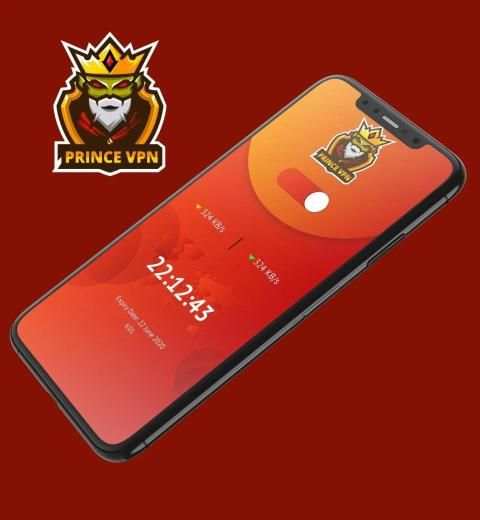 PRINCE VPN screenshot 2