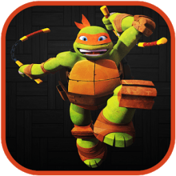 ikon turtle shadows ninja
