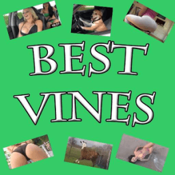 ikon Best Vines Video