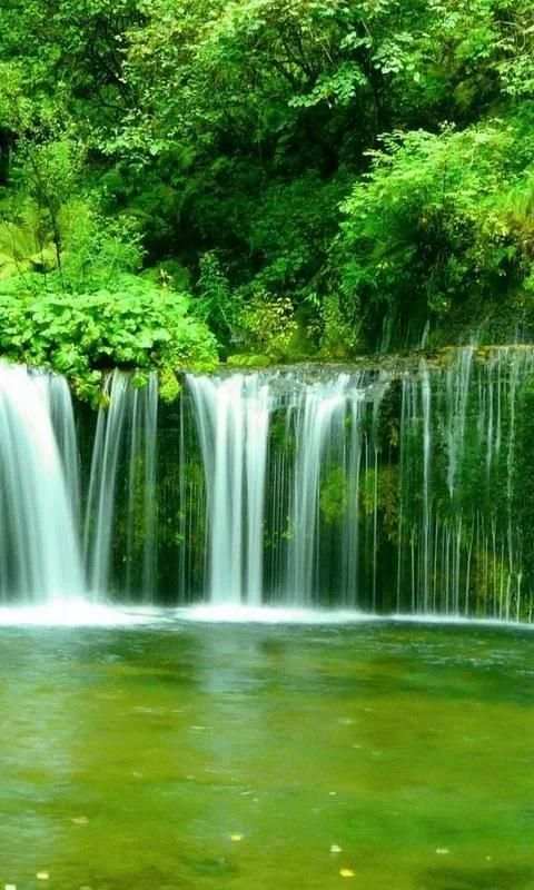 Green Nature wallpaper 1 تصوير الشاشة