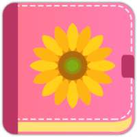 Secret Diary With Lock