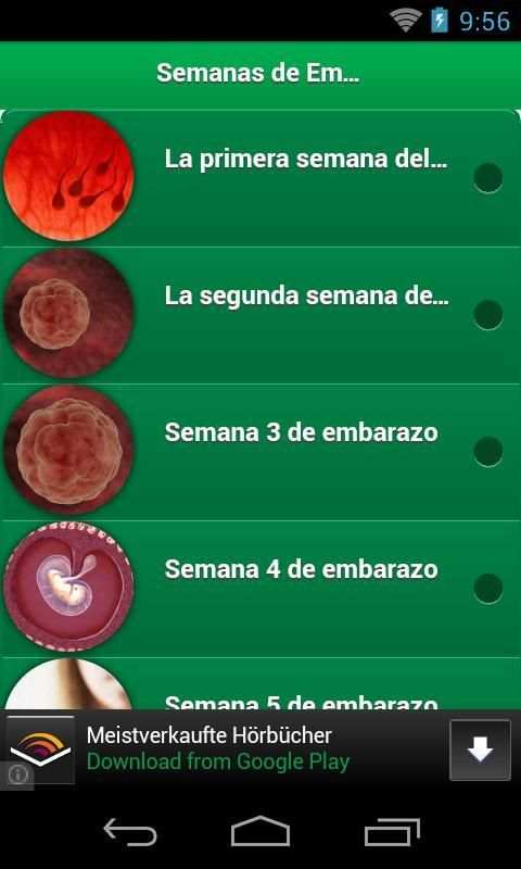 Semanas de Embarazo скриншот 5