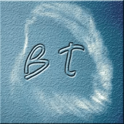 BRANHAM TEST icon
