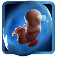 PregApp - 3D Pregnancy Tracker