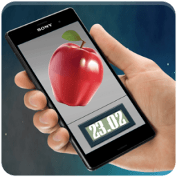 ikon Weight Meter Scale simulator