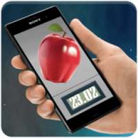 Weight Meter Scale simulator