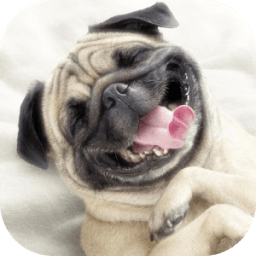 Chistes Cortos Buenos आइकन