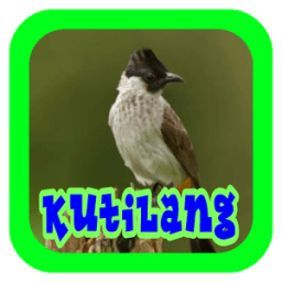 Suara Burung Kutilang आइकन