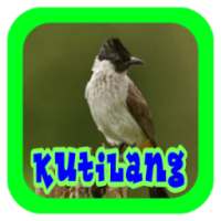 Suara Burung Kutilang