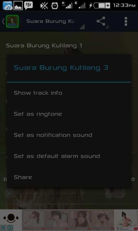 Suara Burung Kutilang screenshot 4